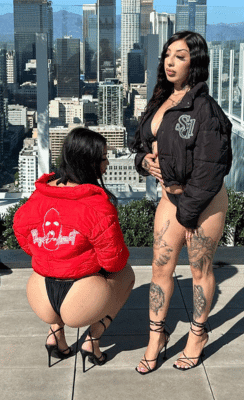 SDL Puffer